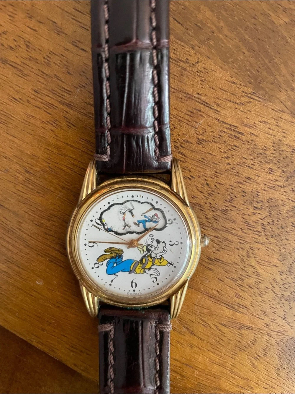 Goofy Dreaming Men's Watch — Brown Leather Strap, Gold Case